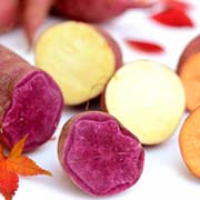 【高齢者レク】11月は食欲の秋！おいしい・楽しい焼き芋レクの成功事例