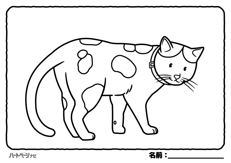 高齢者の動物の塗り絵／ネコ