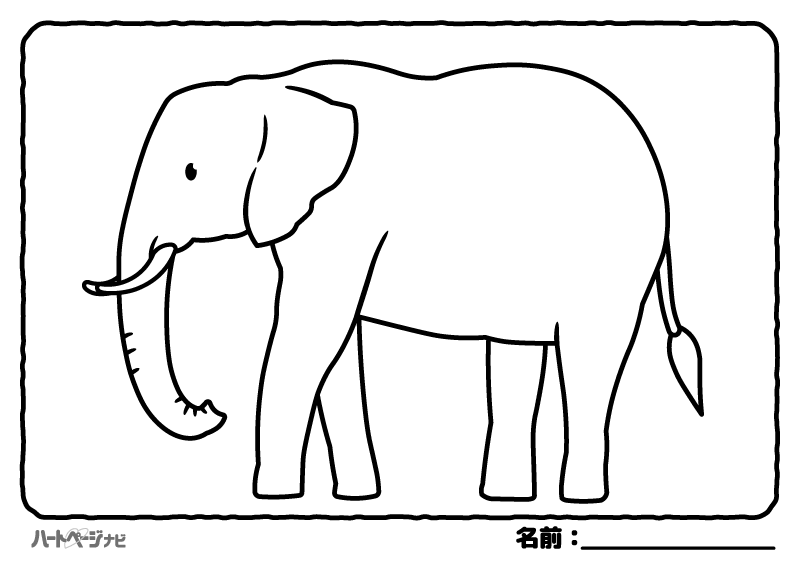 高齢者の動物の塗り絵／ゾウ