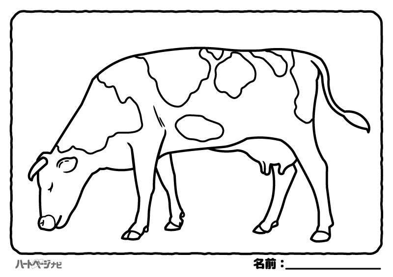 高齢者の動物の塗り絵／ウシ