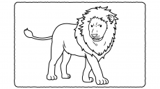 【動物の塗り絵】ネコ、ゾウ、ライオン、ウシ！簡単でぬりやすい高齢者の塗り絵