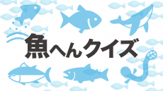 【高齢者の漢字クイズ】難易度を選べる魚へん漢字クイズ