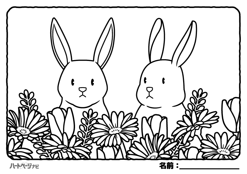 高齢者の春の塗り絵／花とウサギ