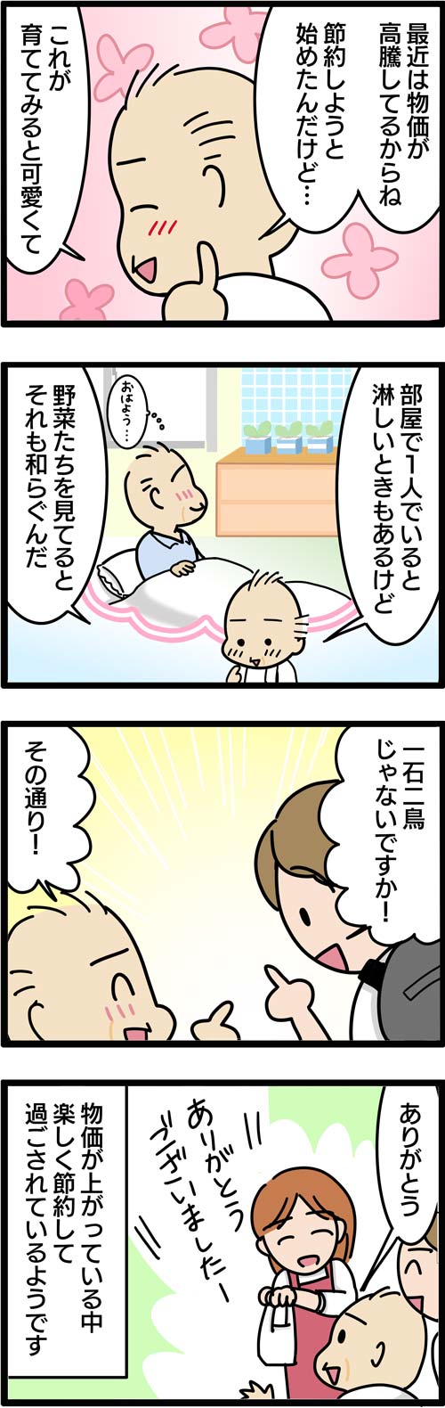 介護漫画／高齢者が育てる牛乳パック野菜2