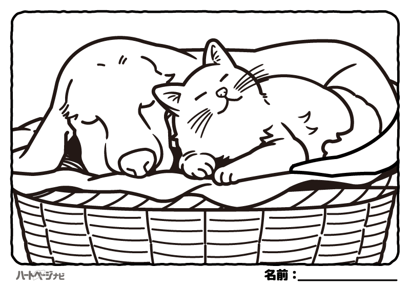 高齢者の塗り絵／仲良く眠る犬と猫