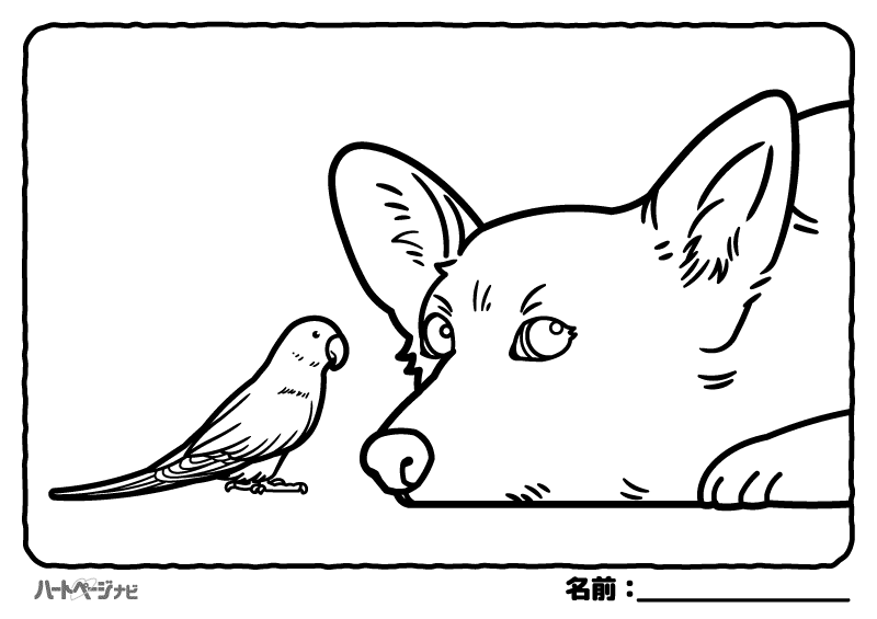 高齢者の塗り絵／イヌとインコ