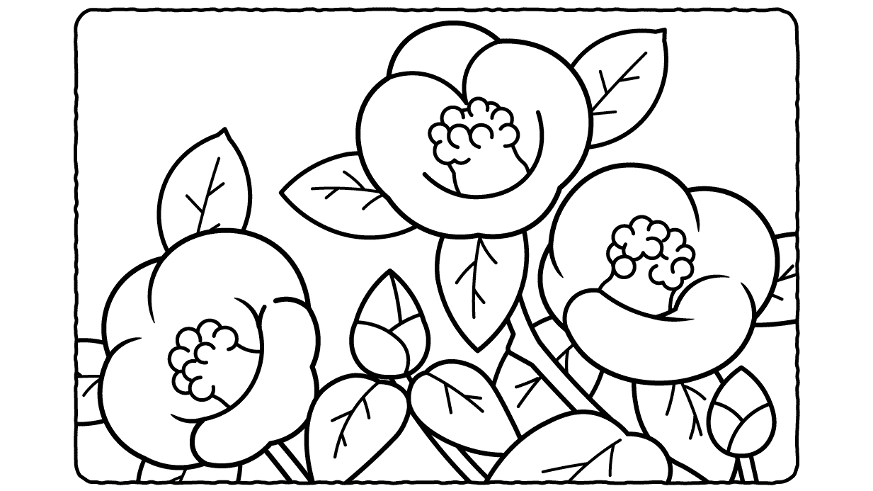 【冬に咲く花の塗り絵】福寿草やツバキ…高齢者も塗りやすい簡単塗り絵