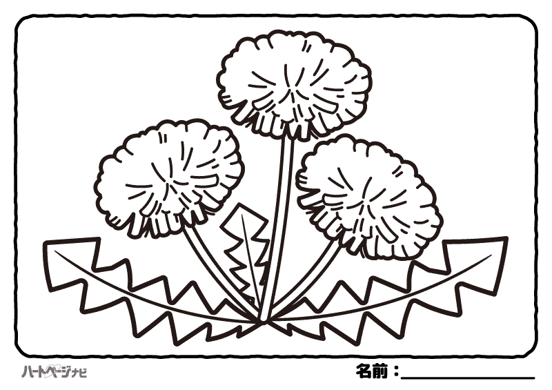 春の花の塗り絵／たんぽぽ