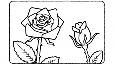 【春に咲く花の塗り絵】バラ、さくら、タンポポ…簡単で高齢者も塗りやすい塗り絵