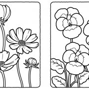 【秋に咲く花の塗り絵】コスモス、金木犀…高齢者におすすめの簡単な塗り絵