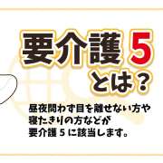 要介護5とはどんな状態？利用できる介護サービスやケアプラン例