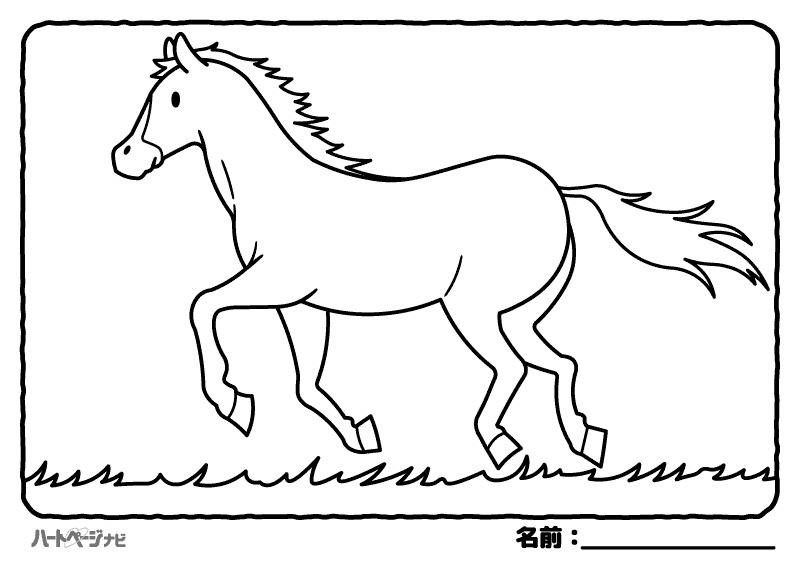 高齢者の動物の塗り絵／うま