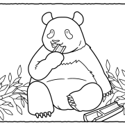 【動物のかんたん塗り絵】パンダ、ねこ、うま…高齢者におすすめの6種類