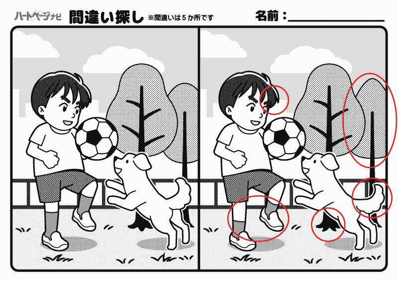 間違い探し上級／解答