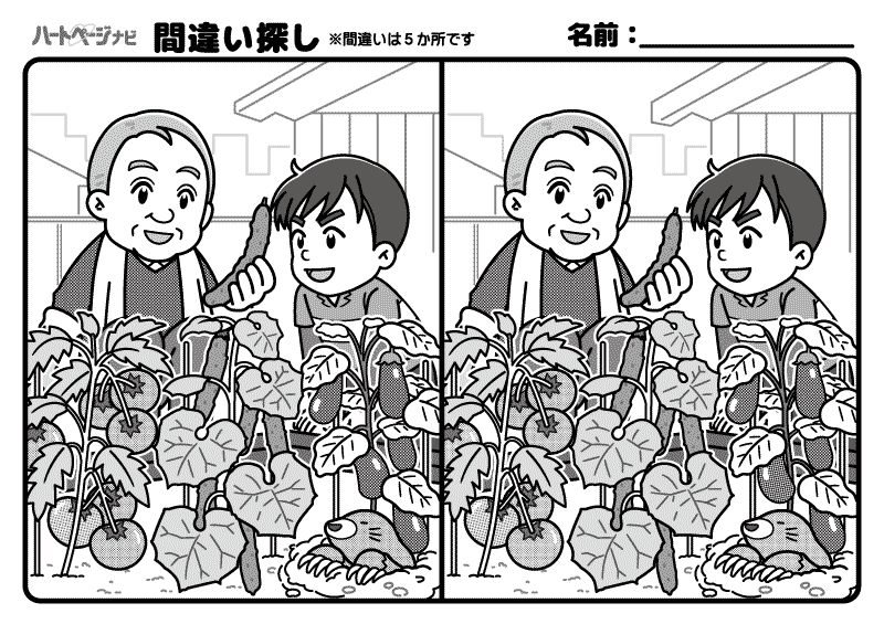 難しい間違い探し／家庭菜園での収穫