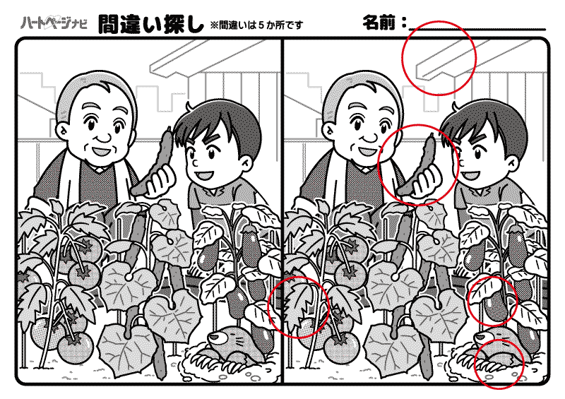 難しい間違い探し／家庭菜園での収穫／解答