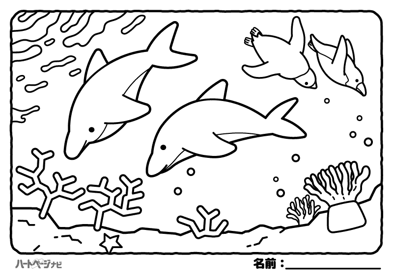 高齢者の塗り絵／イルカとペンギン