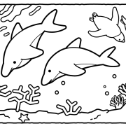 【海の生き物の塗り絵】イルカ、ペンギン、熱帯魚がかわいい！高齢者におすすめの塗り絵