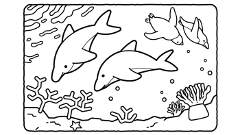 【海の生き物の塗り絵】イルカ、ペンギン、熱帯魚がかわいい！高齢者におすすめの塗り絵