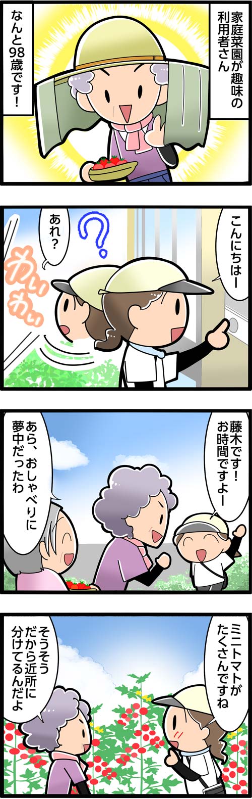 介護漫画／趣味の家庭菜園でミニトマトを作る高齢者1