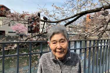 お花見|サニーステージ横濱吉野町