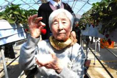 春のいちご狩り|サニーステージ玉川学園