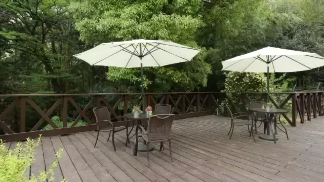 食にまつわるイベントが豊富!!|サニーステージ中山