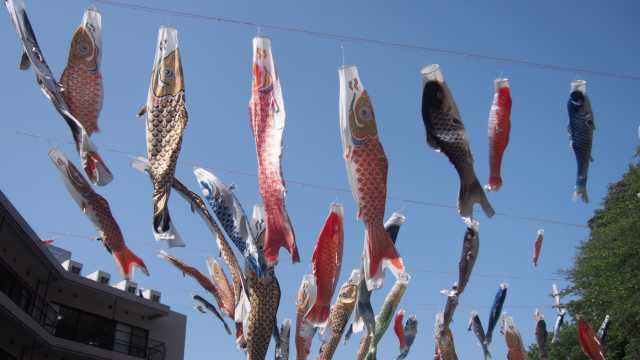 人を大切に信頼とまごころでお応えしたい。 社会福祉法人緑成会の「こだわり」について・・|緑の郷