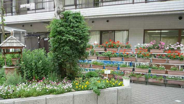 玄関口でキレイな花がお出迎え!|緑の郷