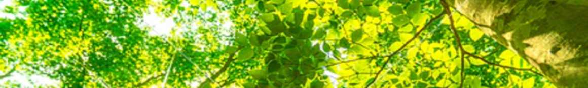 訪問看護ステーション【訪問看護事業所】|ポッジョ・デル・アルジェント 訪問看護ステーション