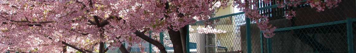 人生これからあなたの場所がここにあります｜すこやかホーム大島