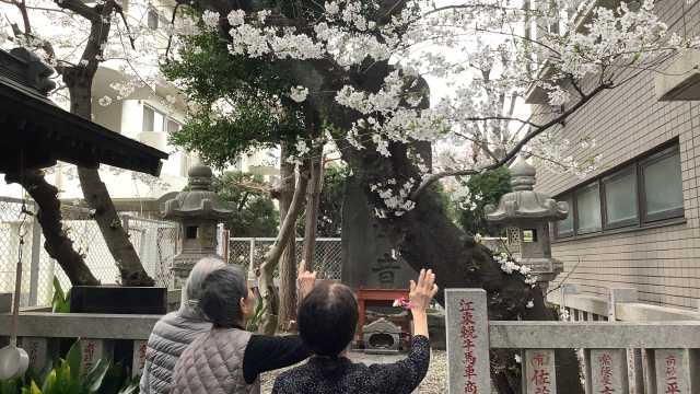 どんな方でもやる気にさせます！元気と笑顔であの頃の自分に若返り！｜すこやかホーム東陽町