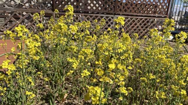 すこやか家族えんむすびは物忘れが多くなってきた方でも安心して楽しく過ごせる施設です。｜すこやか家族 えんむすび