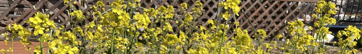 人生これからあなたの場所がここにあります｜すこやか家族 えんむすび