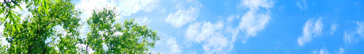 人生これからあなたの場所がここにあります|すこやか自立学園木場校