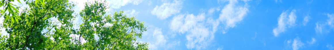 ＜ご利用目的＞｜あいち診療所野並　通所リハビリテーション（デイケア）