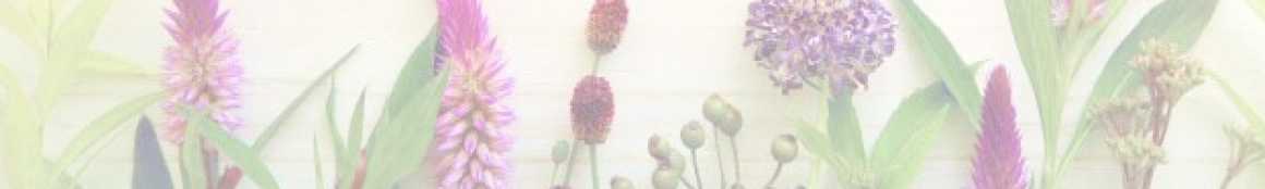 訪問看護とは？｜マスト訪問看護ステーション ／（株）mastocare