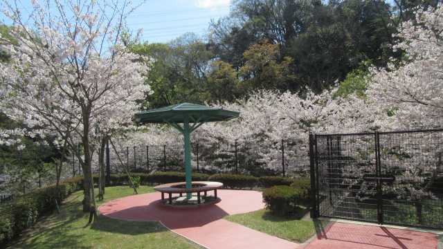 「明るく、清潔に」ぬくもりの介護をご提供いたします。｜介護老人保健施設　あさひな