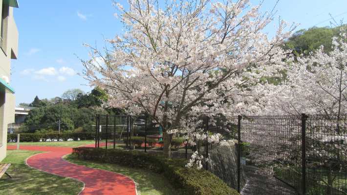 ◎自然を感じながら、おだやかな暮らしを。｜介護老人保健施設　あさひな