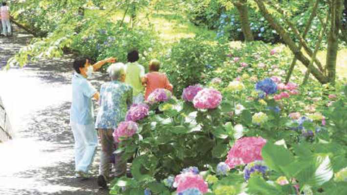◎1人1人に合わせてリハビリをご提案|介護老人保健施設 あさひな
