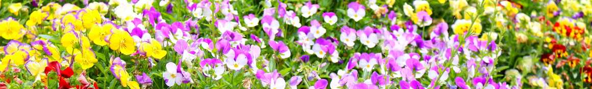 介護についてのご相談を随時お受けしております！｜小規模多機能型居宅介護　ナーシングみち草