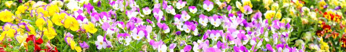 介護についてのご相談を随時お受けしております！｜認知症対応型デイサービス　／　デイサービスセンターみち草