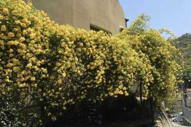 訪問看護の対象者｜訪問看護・リハビリステーション　わたぼうし