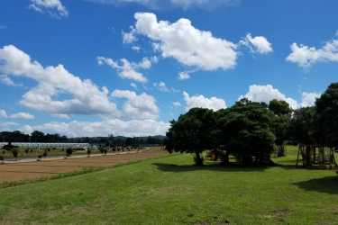 《グループ農園「アグリライフ倶楽部」》|訪問看護ステーション あざみ野ヒルトップ