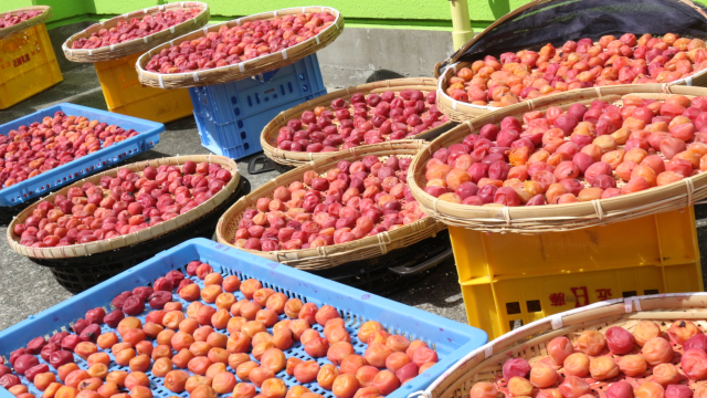 暮らしに楽しみと活力を|特別養護老人ホーム松みどりホーム