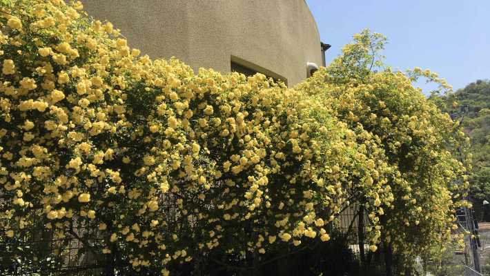 【介護保険サービス➀】｜ヘルパーステーションあすか