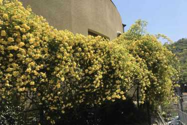 訪問看護の対象者｜訪問看護・リハビリステーションわたぼうしWEST