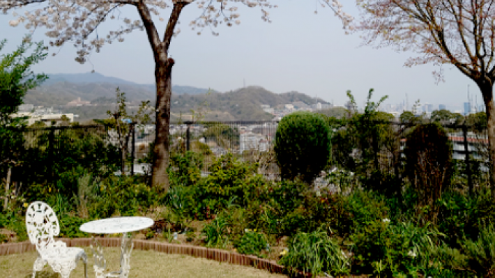 家事｜グループホームわたぼうし