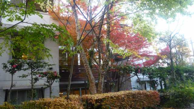 医療と介護が連携し質の高いケアを目指しています｜上井草グルップボエンデ