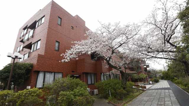 敷地内入り口の桜の木が皆様をお迎え致します。
長い運営で皆様の安心の生活のお手伝いをさせて頂きます。
